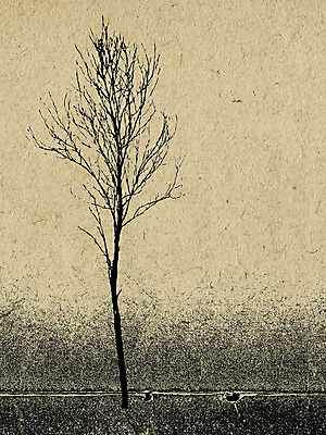 포토 JPG 해외이미지 나무 종이 백그라운드 겨울 패턴 자연 표면 추상 프레임 사람없음 목재 책 노란색 쪽지 공백 수확 골동품 점 얼룩 거친 균열 실 숲 질감 복고 서리 캔버스 페이지 찢어짐 구식 그런지 보관소 보유 세피아 양피지 옛날 원고 노화 해외포토 식물 계절 컬러 컨셉 무늬 농업 재료 모션 촬영기법 저장 생태계 파일형식 이미지허브