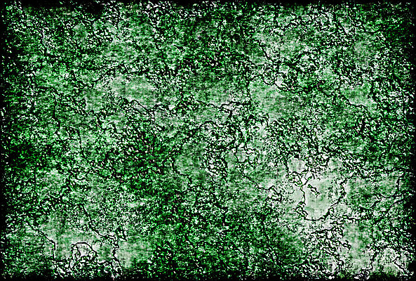 포토 JPG 해외이미지 백그라운드 사람없음 초록색 페인트 질감 유화 해외포토 컬러 미술 파일형식 이미지허브