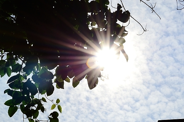 포토 JPG 해외이미지 구름 계절 백그라운드 무지개 잎 패턴 자연 벽지 하늘 날씨 추상 사람없음 초록색 여름 파란색 빛 햇빛 태양 일출 환경 맑음 일몰 에너지 광선 뜨거움 파열 빛망울 광 해외포토 자연요소 식물 컬러 무늬 노을 생태계 파일형식 이미지허브