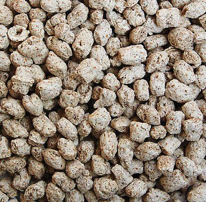 포토 JPG 해외이미지 식물 라이프스타일 웰빙 음식 조각 다이어트 건조 건강 식이요법 옥수수 씨앗 사람없음 갈색 식사 회색 흰색 아침식사 낟알 시리얼 밀 먹기 유기농 날것 점심식사 고립 오트밀 채식주의자 귀리 해외포토 컬러 모션 곡류 생활 채식 파일형식 이미지허브