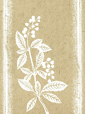 포토 JPG 해외이미지 식물 디자인 종이 백그라운드 패턴 자연 추상 프레임 사람없음 책 물 노란색 쪽지 공백 손상 수확 골동품 덮개 흰색 악단 거친 균열 허브 분필 문서 복고 캔버스 먼지 페이지 라임 고정 구김 구식 그런지 보관소 보유 세피아 양피지 옛날 원고 노화 해외포토 자연요소 음악 컬러 컨셉 무늬 농업 과일 모션 촬영기법 뚜껑 저장 초크 생태계 파일형식 이미지허브