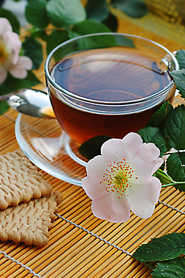 포토 JPG 해외이미지 식물 열매 꽃잎 음료 음식 잎 오렌지 과일 건강 사람없음 치료 컵 초록색 수건 약 머그컵 추위 벚꽃 직물 액체 차 수프 약초 컵받침 투입 해외포토 식기 꽃 컬러 의학 모션 위생용품 풀_식물 받침대 파일형식 이미지허브