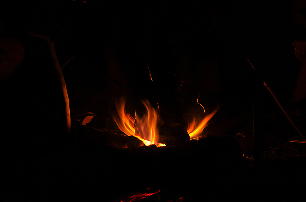 포토 JPG 해외이미지 오렌지 자연 프레임 따뜻함 사람없음 빨간색 빛 컬러풀 어둠 힘 뜨거움 야간 위험 모닥불 벽난로 연료 지옥 화상 해외포토 자연요소 컬러 컨셉 과일 불 상처 생태계 파일형식 이미지허브