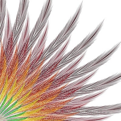 EPS 해외이미지 템플릿 전통 디자인 배너 포스터 음악 여행 백그라운드 일러스트 자연 조류 휴가 미술 장식 컬러풀 파티 축제 기쁨 덮개 축하 춤 원형 티켓 모서리 깃털 질감 쇼 초대 브라질 가면무도회 브라질사람 해외일러스트 도형 동물 감정 컬러 컨셉 문화예술 이벤트 뚜껑 남아메리카 생태계 무도회 파일형식 벡터 이미지허브