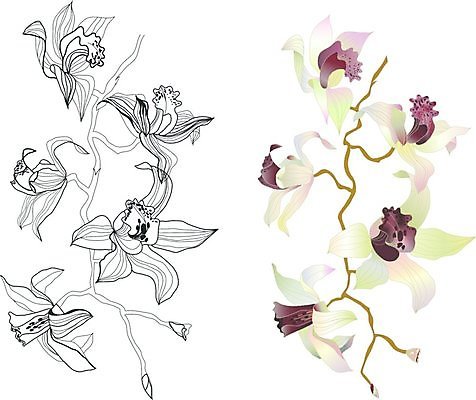 EPS 해외이미지 식물 디자인 계절 꽃 야생동물 백그라운드 꽃무늬 패턴 일러스트 자연 추상 수채화 프레임 흑백 그래픽 장식 세트 컬러풀 정원 검은색 흰색 나뭇가지 신용카드 그리기 난초 그림 생물학 고립 핸드메이드 스타일 효과 해외일러스트 나무 동물 교육 컬러 무늬 모션 촬영기법 금융 생태계 파일형식 벡터 이미지허브