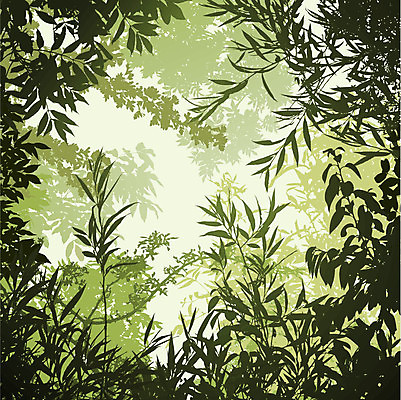 EPS 해외이미지 나무 식물 실루엣 잎 일러스트 사람없음 초록색 나뭇가지 숲 해외일러스트 컬러 촬영기법 파일형식 벡터 이미지허브