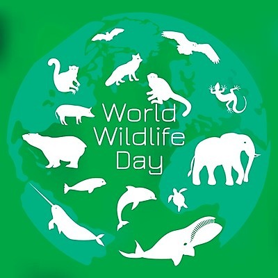 EPS 해외이미지 동물 디자인 배너 포스터 지구 야생동물 백그라운드 컨셉 일러스트 자연 미래 코끼리 기념 이벤트 그래픽 세계 글로벌 지구본 환경 행성 원숭이 돼지 거북이 보호 물개 심볼 고래 돌고래 사인 에코 생태계 도마뱀 부엉이 박쥐 내추럴 생태학 엘리먼트 해외일러스트 교육 포유류 파충류 조류 우주 바다동물 수중동물 파일형식 벡터 이미지허브