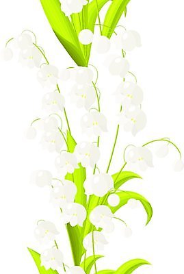 EPS 해외이미지 클립아트 모양 식물 디자인 꽃 줄기 꽃다발 백그라운드 잎 꽃무늬 패턴 일러스트 자연 부활절 미술 장식 세로 초록색 계곡 봄 벚꽃 흰색 나뭇가지 신선 그리기 우아함 심볼 타일 오브젝트 그림 클립 아로마 모자이크 향 회복 스타일 반복 국경 해외일러스트 나무 계절 기념일 컬러 컨셉 무늬 모션 문화예술 생태계 파일형식 벡터 이미지허브