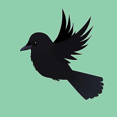 EPS 해외이미지 동물 디자인 실루엣 야생동물 백그라운드 날개 일러스트 자연 조류 그래픽 검은색 자유 흰색 비행 심볼 깃털 사인 비둘기 부리 까마귀 고립 사기꾼 엘리먼트 해외일러스트 컬러 컨셉 촬영기법 생태계 파일형식 벡터 이미지허브