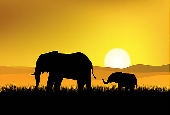 EPS 해외이미지 식물 동물 실루엣 야생동물 여행 백그라운드 잎 오렌지 일러스트 포유류 아프리카 자연 하늘 휴가 코끼리 풍경 초원 야외 여름 태양 평화 일출 환경 검은색 어둠 황혼 일몰 사막 황무지 저녁 아래 심볼 그림 영토 오지 평야 해외일러스트 자연요소 계절 나라 컬러 컨셉 과일 촬영기법 노을 야간 방향 생태계 위치 파일형식 벡터 이미지허브