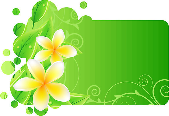 EPS 해외이미지 나무 식물 템플릿 꽃잎 꽃 백그라운드 잎 꽃무늬 패턴 일러스트 자연 휴가 프레임 초록색 여름 우주 스파 봄 기쁨 인사 신선 신용카드 난초 하와이 발리 망사 엘리먼트 이국적 해외일러스트 계절 감정 컬러 섬 무늬 금융 미국 직물 예절 생태계 인도네시아 파일형식 벡터 이미지허브