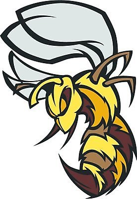 EPS 해외이미지 얼굴 스포츠 곤충 신체 날개 일러스트 학교 고등학교 노란색 머리 벌레 말벌 벌 싸움 찌르기 마스코트 해외일러스트 동물 교육 컬러 모션 신체부위 벌_곤충 파일형식 벡터 이미지허브