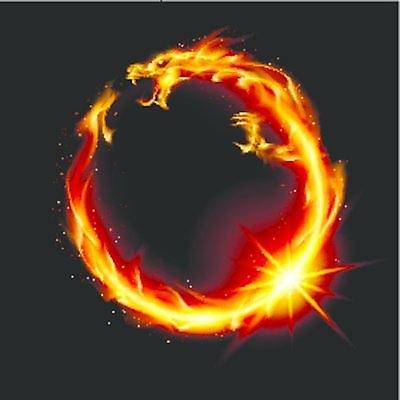 EPS 해외이미지 전통 디자인 아시아 백그라운드 패턴 밭 날개 일러스트 파충류 벽지 불 추상 불꽃 새로움 미술 동양인 그래픽 장식 빨간색 빛 컬러풀 노란색 디지털 중국 어둠 용 뜨거움 중세 심볼 사인 그림 질감 신화 공상 동쪽 나쁜 고립 몬스터 발톱 해외일러스트 자연요소 동물 나라 컬러 컨셉 무늬 농업 발 문화예술 인종 역사 방향 파일형식 벡터 이미지허브