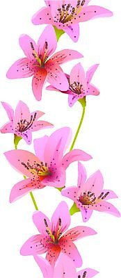 EPS 해외이미지 식물 꽃 파도 분홍색 백그라운드 잎 꽃무늬 패턴 일러스트 추상 장식 빨간색 세로 여름 우주 보라색 페인트 봄 줄무늬 소용돌이 백합 타일 그림 질감 내추럴 고립 국경 해외일러스트 계절 바다 컬러 무늬 회오리 파일형식 벡터 이미지허브