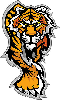 EPS 해외이미지 동물 얼굴 스포츠 신체 일러스트 학교 고등학교 머리 걷기 고양이 줄무늬 호랑이 육식동물 마스코트 발톱 집게발 해외일러스트 교육 무늬 포유류 모션 발 신체부위 반려동물 파일형식 벡터 이미지허브