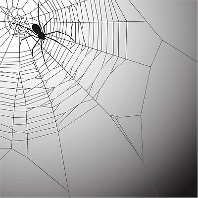 EPS 해외이미지 동물 디자인 실루엣 곤충 백그라운드 패턴 일러스트 그래픽 검은색 웹 실 벌레 거미줄 거미 올가미 그런지 해외일러스트 컬러 무늬 인터넷 촬영기법 파일형식 벡터 이미지허브