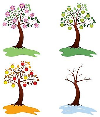 EPS 해외이미지 나무 식물 디자인 계절 공원 꽃 분홍색 백그라운드 컨셉 잎 겨울 꽃무늬 패턴 과일 일러스트 자연 추상 미술 목재 그래픽 장식 빨간색 초록색 여름 파란색 세트 갈색 노란색 정원 봄 수확 가을 흰색 나뭇가지 사과 수집 심볼 사인 싱글 그림 내추럴 고립 해외일러스트 공공시설 컬러 무늬 농업 재료 문화예술 생태계 파일형식 벡터 산업 시설 이미지허브