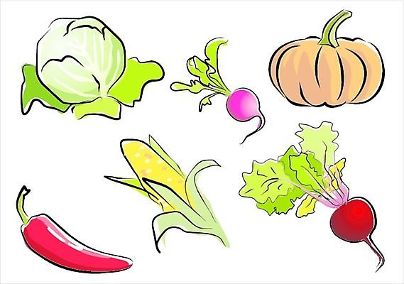 EPS 해외이미지 편집 음식 백그라운드 채소 일러스트 호박 건강 옥수수 초록색 세트 노란색 흰색 신선 수집 양배추 고립 비트 채식주의자 총각무 해외일러스트 컬러 곡류 무 채식 파일형식 벡터 이미지허브