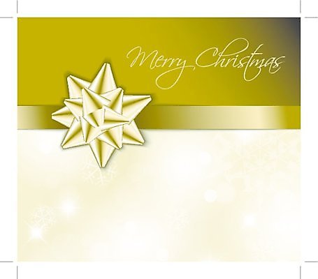 EPS 해외이미지 전통 디자인 계절 기념일 행복 리본 백그라운드 크리스마스 겨울 패턴 일러스트 추상 휴가 불꽃 새로움 프레임 선물 사랑 장식 빛 반짝임 우주 축제 낭만 덮개 흰색 축하 신용카드 눈송이 황금 묶기 연도 활 서리 고립 엘리먼트 눈내림 해외일러스트 감정 컬러 컨셉 무늬 모션 불 눈_날씨 이벤트 금융 뚜껑 파일형식 벡터 이미지허브