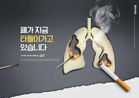 PSD 편집이미지 종이 불꽃 담배 경고 타이포그라피 사람없음 회색 공익캠페인 허파 성냥 금연 담배꽁초 담배연기 태움 이미지편집 문자 캠페인 컬러 불 호흡기관 연기 사회이슈 파일형식