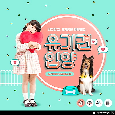 전신 PSD 템플릿 한마리 여자 ZIP 반려견 어린이 캠페인 웹템플릿 말풍선 안기 팝업 이벤트팝업 웹팝업 한명 서기 소녀 울타리 반려동물 한국인 하트 강아지 하트쿠션 꽃가루 개밥그릇 민트색 셔틀랜드쉽독 유기견 입양 소녀한명만 빅팝업 유기동물 이미지템플릿 모양 동물 1 그릇 컬러 쿠션 모션 사람 동양인 담장 개 가루 애견용품 여자한명만 소녀만 파일형식