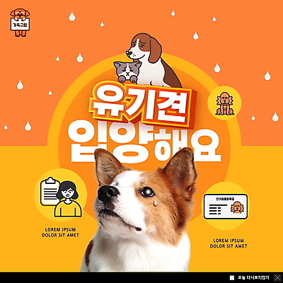 PSD 템플릿 여자 ZIP 반려견 캠페인 웹템플릿 여러마리 팝업 이벤트팝업 웹팝업 한명 상반신 성인 반려동물 주황색 고양이 물방울 강아지 눈물 보더콜리 서류판 유기견 입양 증명서 성인여자한명만 빅팝업 유기동물 이미지템플릿 동물 1 감정 컬러 다수 포유류 사람 사무용품 개 콜리 여자한명만 성인여자만 파일형식