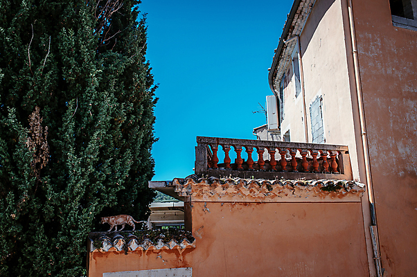 포토 JPG 주간 나무 한마리 해외풍경 유럽풍경 하늘 주택 사람없음 야외 건물 여름 울타리 고양이 프랑스 그늘 동물라이프 남프랑스 국내포토 자연요소 식물 동물 1 해외 라이프스타일 건축물 계절 유럽 포유류 풍경 담장 반려동물 파일형식