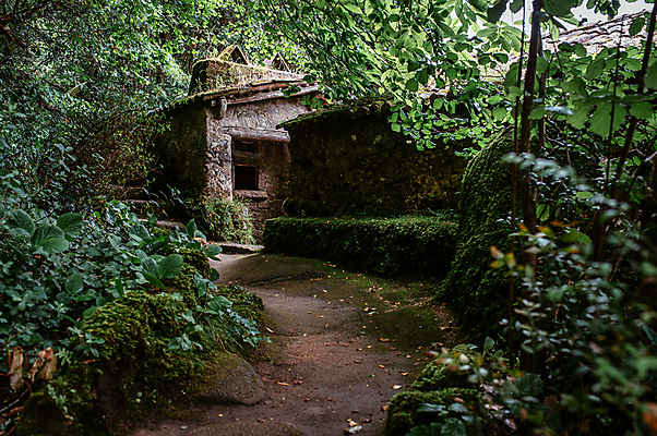 포토 JPG 주간 해외풍경 유럽풍경 나뭇잎 이끼 사람없음 야외 건물 사원 숲 포르투갈 숲길 성지 신트라 국내포토 자연요소 해외 건축물 유럽 길 잎 비즈니스 풍경 파일형식