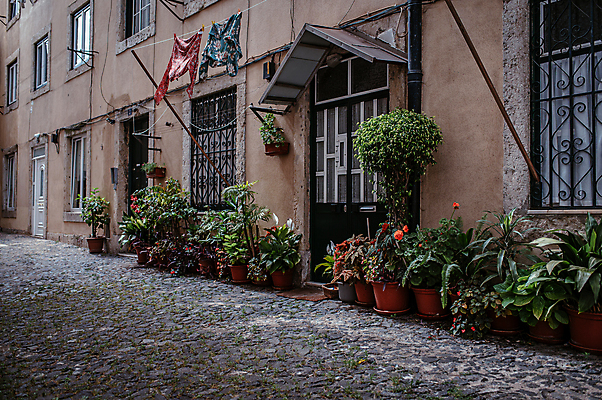 포토 JPG 주간 해외풍경 화분 유럽풍경 주택 사람없음 야외 건물 문 골목길 빨랫줄 포르투갈 돌길 리스본 빨랫감 집앞 국내포토 자연요소 해외 건축물 유럽 길 줄 풍경 빨래 파일형식