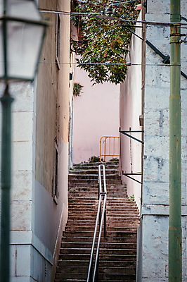 포토 JPG 주간 해외풍경 가로등 유럽풍경 나뭇잎 사람없음 야외 계단 골목길 포르투갈 좁은 리스본 국내포토 자연요소 해외 공공시설 유럽 길 잎 풍경 파일형식