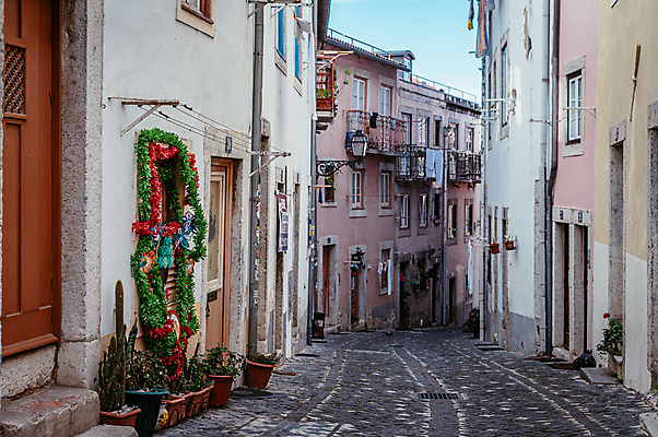 포토 JPG 주간 해외풍경 화분 유럽풍경 거리 주택 풍경 사람없음 야외 건물 장식 문 골목길 포르투갈 내리막 리스본 국내포토 자연요소 해외 건축물 유럽 길 파일형식