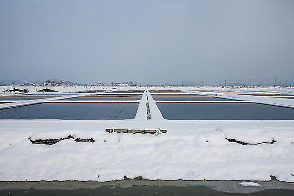 포토 JPG 주간 겨울 하늘 풍경 사람없음 야외 눈 전라남도 흐림 신안 염전 눈덮임 국내포토 자연요소 계절 컨셉 날씨 전라도 시설 파일형식