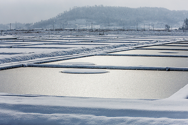 포토 JPG 주간 겨울 산 풍경 사람없음 야외 눈 전라남도 신안 염전 눈덮임 국내포토 자연요소 계절 컨셉 날씨 전라도 시설 파일형식