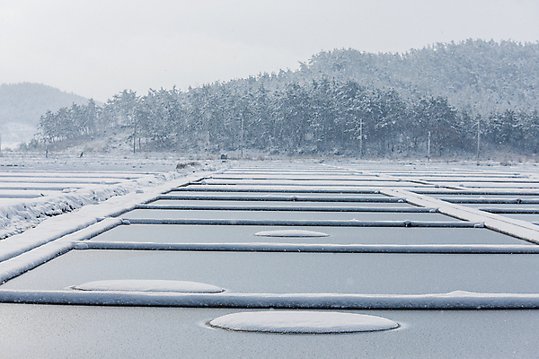 포토 JPG 주간 겨울 산 풍경 사람없음 야외 눈 전라남도 신안 염전 눈내림 눈덮임 국내포토 자연요소 계절 컨셉 날씨 눈_날씨 전라도 시설 파일형식