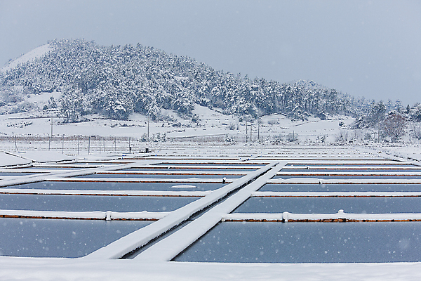 포토 JPG 주간 겨울 하늘 산 풍경 사람없음 야외 눈 전라남도 신안 염전 눈내림 눈덮임 국내포토 자연요소 계절 컨셉 날씨 눈_날씨 전라도 시설 파일형식