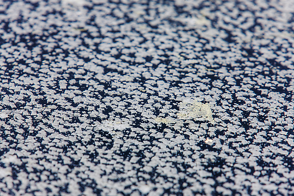 포토 JPG 주간 겨울 사람없음 야외 아웃포커스 떠있는 전라남도 소금 신안 염전 국내포토 자연요소 계절 모션 촬영기법 전라도 시설 파일형식