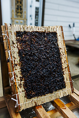 포토 JPG 주간 식재료 건조 사람없음 야외 아웃포커스 김 전라남도 김발 신안 국내포토 자연요소 촬영기법 해조류 전라도 파일형식