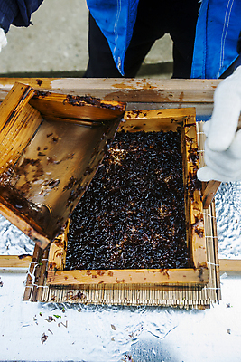 포토 JPG 주간 바다 식재료 한명 사람 야외 하반신 잡기 제조 김 나무틀 전라남도 김발 서해 신안 국내포토 자연요소 1 모션 틀 해조류 전라도 파일형식