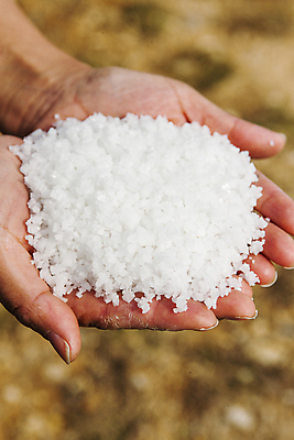 포토 JPG 주간 손 식재료 들기 야외 아웃포커스 신체부위 전라남도 가득함 소금 신안 국내포토 자연요소 모션 촬영기법 사람 전라도 파일형식