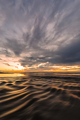 포토 JPG 해외이미지 야생동물 모래 파도 바다 여행 자연 아침 사람없음 야외 물 빛 햇빛 태양 반사 평화 일출 황혼 일몰 만 분위기 매끈함 야간 저녁 캘리포니아 태평양 해외포토 주간 자연요소 동물 컨셉 노을 미국 감각 생태계 파일형식 이미지허브