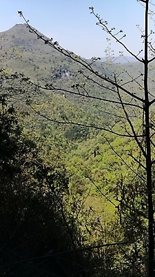 포토 JPG 해외이미지 산 풍경 사람없음 안개 언덕 드럼 내추럴 절정 해외포토 날씨 타악기 파일형식 이미지허브