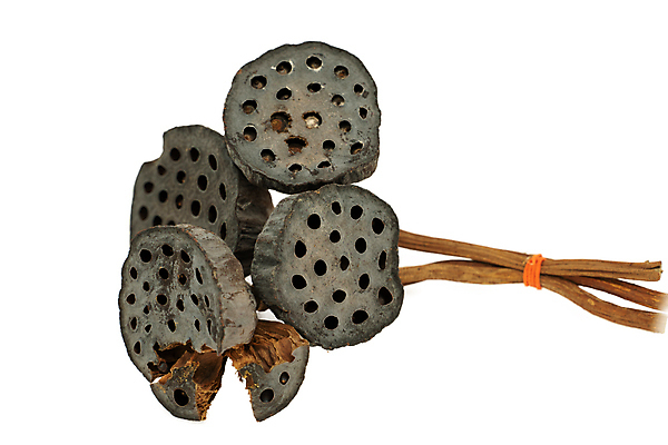 포토 JPG 해외이미지 식물 꽃잎 꽃 아시아 종교 길 클리핑패스 음식 분홍색 백그라운드 잎 꽃무늬 자연 건조 건강 연꽃 미술 씨앗 동양인 사람없음 초록색 물 컬러풀 뷰티 검은색 벚꽃 흰색 기도 죽음 신선 백합 자르기 심볼 흰배경 시들음 내추럴 고립 꼬투리 썩음 옛날 해외포토 자연요소 나라 컬러 무늬 모션 문화예술 인종 생태계 파일형식 이미지허브