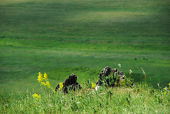 포토 JPG 해외이미지 나무 식물 구름 계절 꽃 호수 분홍색 밭 자연 하늘 새로움 산 풍경 초원 사람없음 야외 가로 초록색 물 여름 파란색 컬러풀 환경 계곡 보라색 봄 벚꽃 흰색 개화 숲 땅 언덕 장면 생태학 절정 해외포토 자연요소 교육 컬러 컨셉 농업 생태계 파일형식 이미지허브