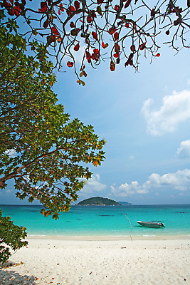 포토 JPG 해외이미지 나무 구름 커플 계절 아시아 모래 파도 바다 섬 여행 태국 하늘 휴가 산 풍경 사람없음 야외 초록색 물 여름 파란색 태양 뷰티 활발 흰색 보트 스노클링 산호 크리스탈 다이빙 안다만 터키석 파라다이스 해외포토 자연요소 식물 나라 컬러 컨셉 배_교통 관계 수영 수상스포츠 자포동물 광석 보석 수중스포츠 파일형식 이미지허브