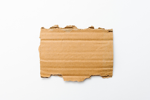 포토 JPG 해외이미지 스튜디오촬영 디자인 종이 백그라운드 잎 프레임 사람없음 공백 거친 천 흰배경 찢어짐 골판지 구김 카피스페이스 해외포토 식물 모션 실내 흰색 직물 파일형식 이미지허브