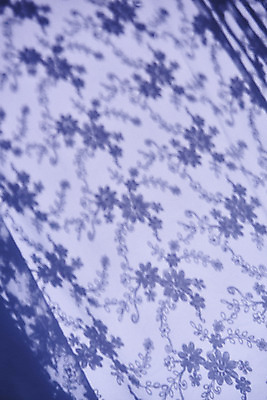 포토 JPG 스튜디오촬영 백그라운드 꽃무늬 실내 그림자 누끼 사람없음 보라색 커튼 오브젝트 몽환 국내포토 꽃 컬러 컨셉 무늬 내부 파일형식