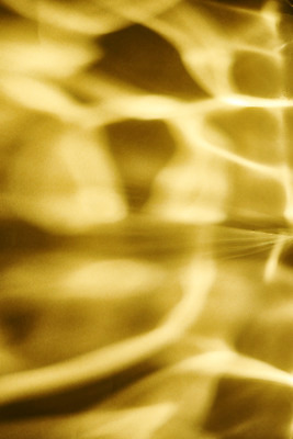 포토 JPG 스튜디오촬영 백그라운드 실내 그림자 누끼 사람없음 오브젝트 노란배경 몽환 국내포토 컨셉 내부 노란색 파일형식