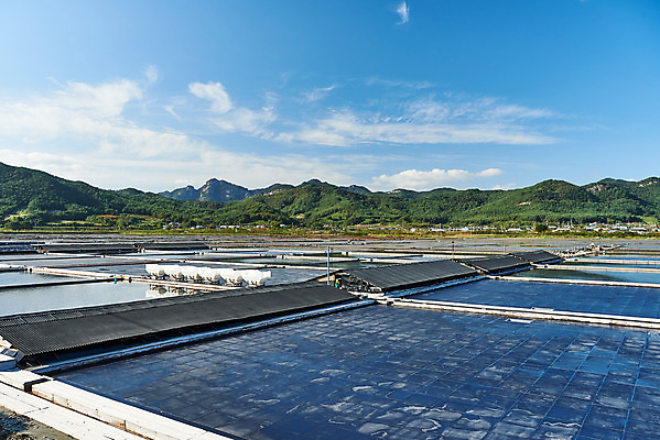 포토 JPG 주간 구름 하늘 산 풍경 사람없음 야외 관광지 맑음 가을 곰소염전 방조제 부안 염전 국내포토 자연요소 계절 여행 날씨 전라북도 시설 파일형식