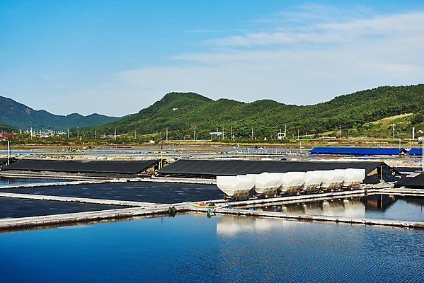 포토 JPG 주간 구름 하늘 산 풍경 사람없음 야외 관광지 반사 맑음 가을 곰소염전 방조제 부안 염전 국내포토 자연요소 계절 여행 날씨 전라북도 시설 파일형식