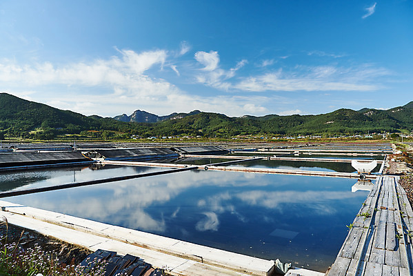 포토 JPG 주간 구름 하늘 산 풍경 사람없음 야외 관광지 반사 맑음 가을 곰소염전 방조제 부안 염전 국내포토 자연요소 계절 여행 날씨 전라북도 시설 파일형식